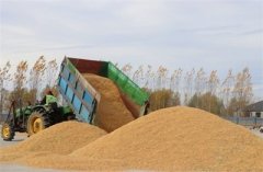 <b>西北部、南部部内容简介：10月16日电（记者彭韵</b>